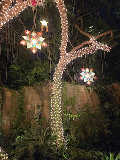 Illuminated palm tree with Christmas star lights and decorations at night