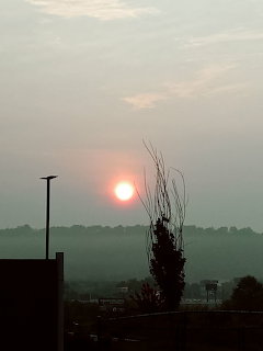 Hazy Sunset Silhouette