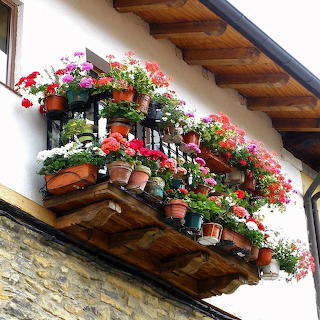 Balcony with Flowering Plants