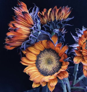 Blue Sunflowers Art