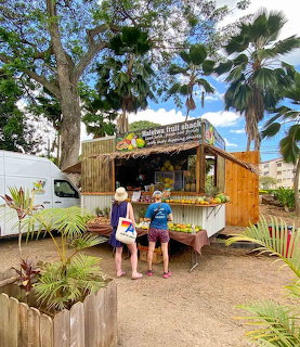 Two customers at rustic Hawaiian fruit stand with thatched roof surrounded by palm trees