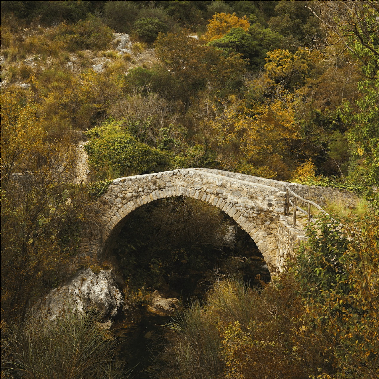Old stone arch bridge surrounded by autumn bushes and trees