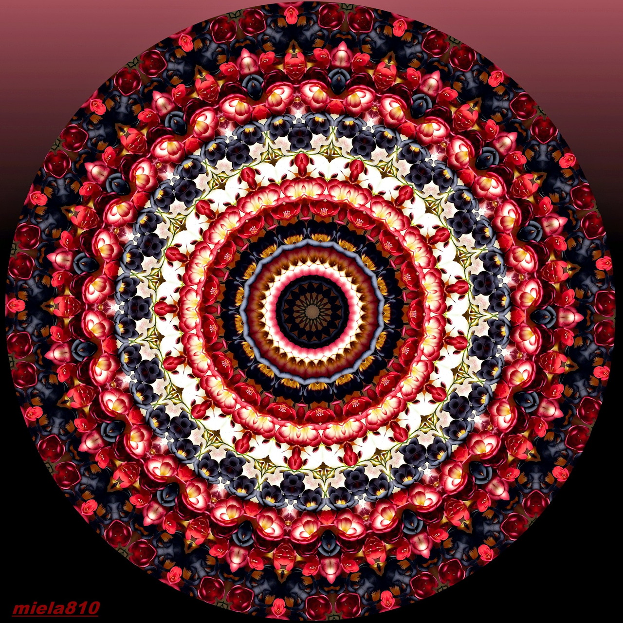 Circular mandala with red, white, and black floral pattern rings on gradient background