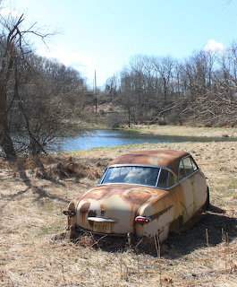 Rusting vintage coupe abandoned in a grassy field near a pond and bare trees.