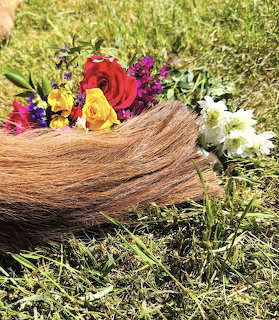 Brown horse tail on grass adorned with colorful flowers