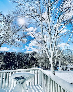 Snow-covered wooden deck railing with bare trees and evergrens under a bright blue winter sky