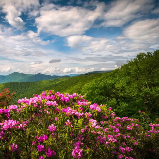 Western NC Mountains