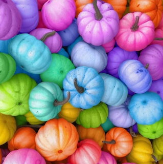 Colorful Mini Pumpkins