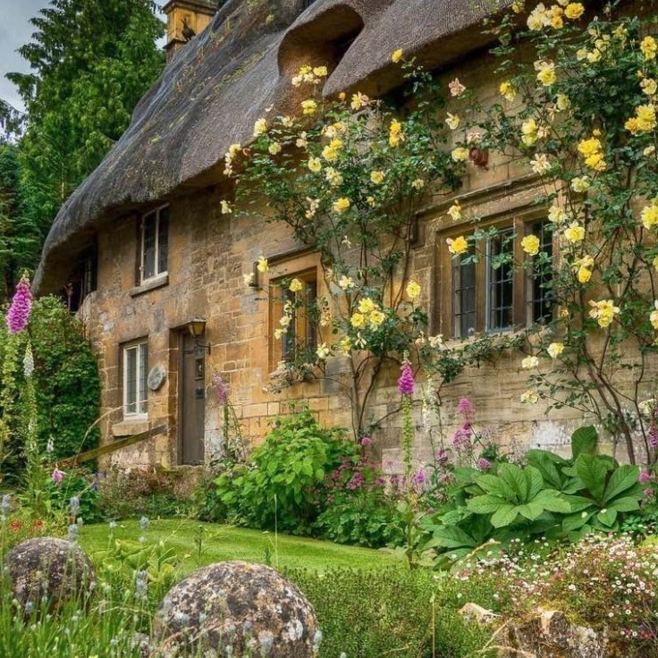 Rustic stone cottage with thatched roof and yellow climbing roses in blooming English country garden