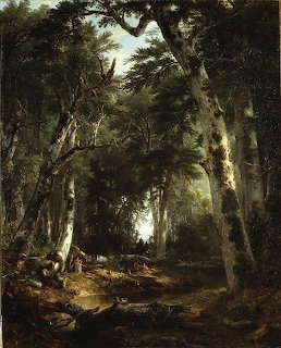 Dark forest path with sunlight filtering through tall trees and dense foliage