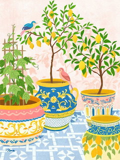 Potted Lemon Trees