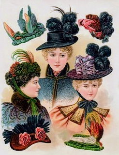 Vintage 1890s illustration of Victorian ladies wearing ornate hats with feathers and floral decorations