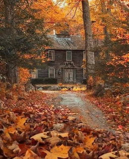Rustic cottage at the end of a leaf-covered driveway in a colorful autumn forest