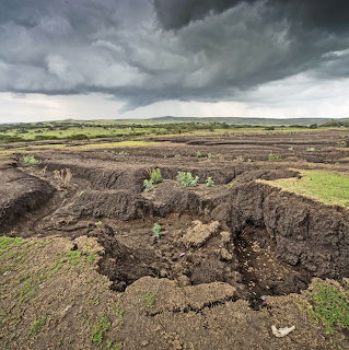 Storm clouds over harvested peat bog with dark soil trenches and green grass under dramatic sky