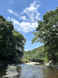 Calm river with rocky banks surrounded by dense green trees and blue sky with clouds