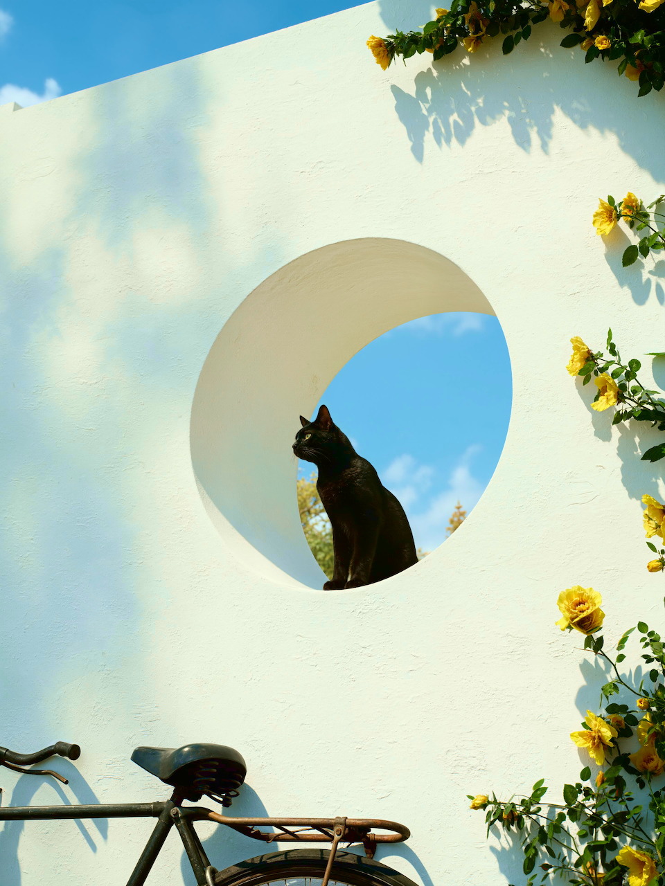 Black cat sitting in a round wall opening above a bicycle, with yellow flowers on a white wall