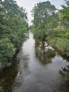 Calm river flowing between green leafy trees under a cloudy sky