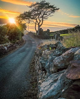 Narrow country road lined with stone wall and windswept trees at sunset in rural Ireland