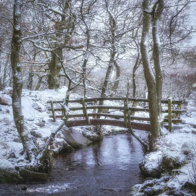 Wooden bridge over stream in snowy winter forest with bare trees