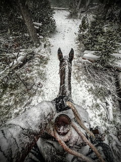 Snowy Trail Ride