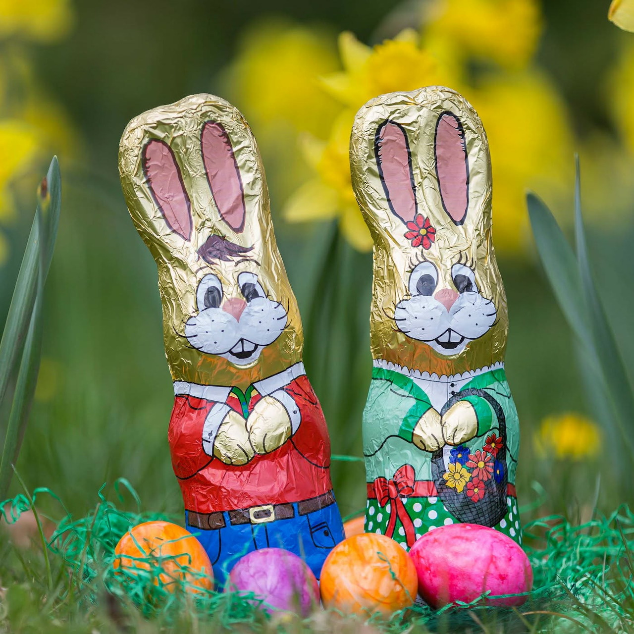 Two foil-wrapped chocolate Easter bunnies in grass with colorful eggs and yellow flowers behind them.