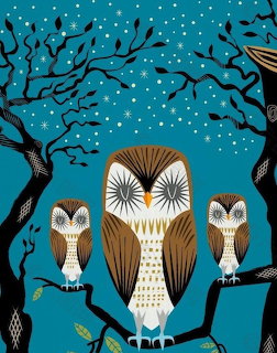 Illustration of three brown and white owls on dark tree branches under a starry teal night sky