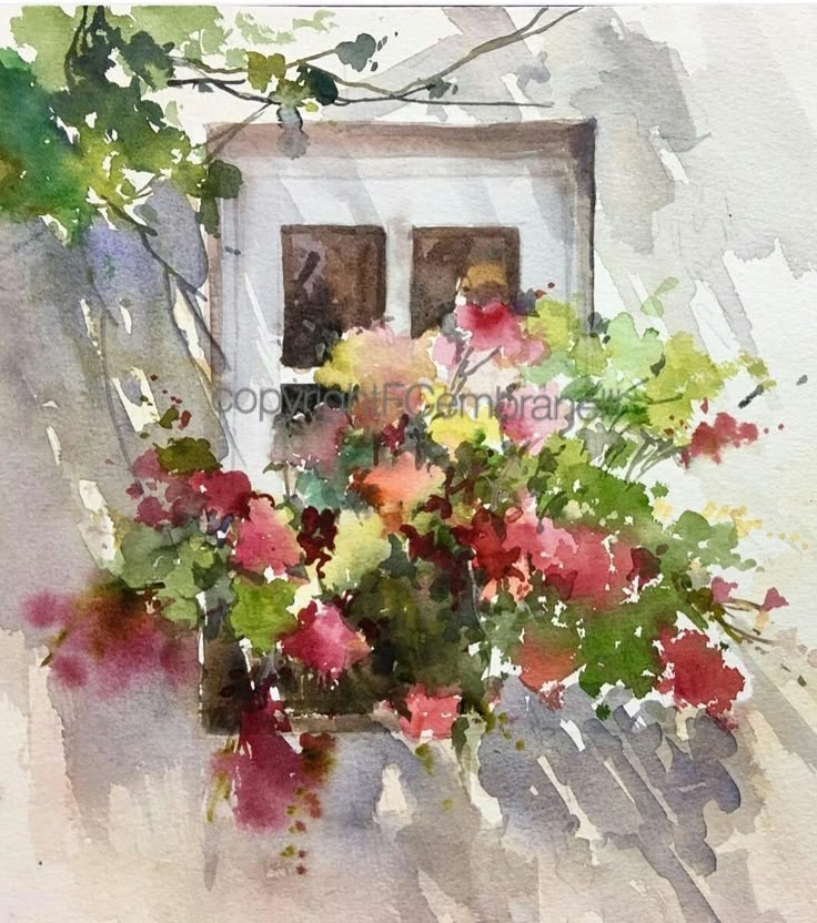 Window Flowers
