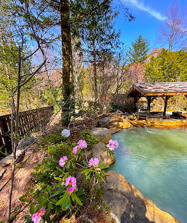 Japanese outdoor onsen with turquoise water, pink flowers, rocks, trees, and a wooden shelter