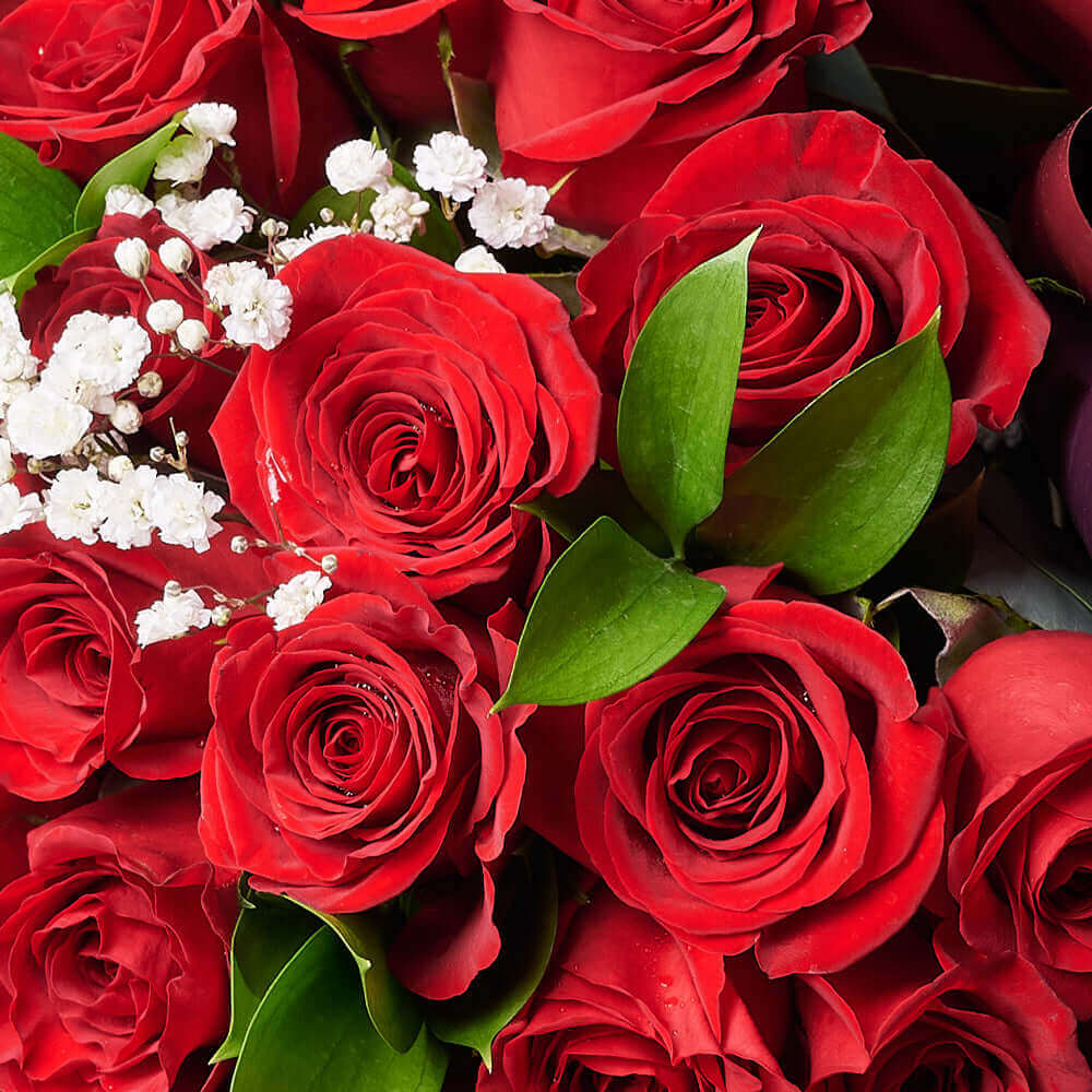 Close-up of red roses with green leaves and white baby's breath in a bouquet