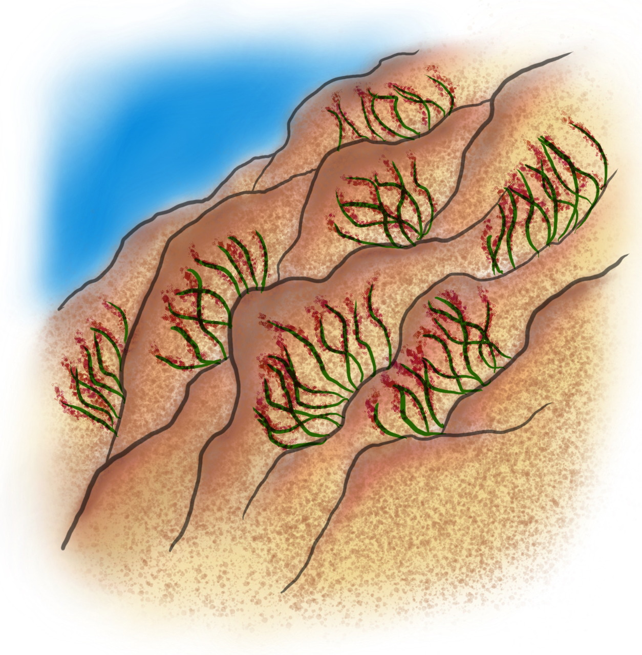 Abstract Desert Ridges