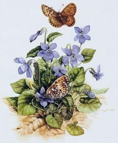 Watercolor painting of purple violet flowers with butterflies hovering above green foliage