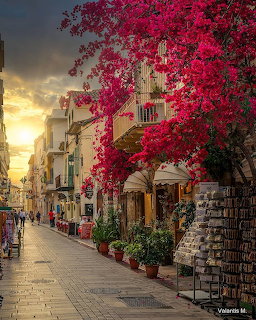 Nafplio Town Bougainvillea Street