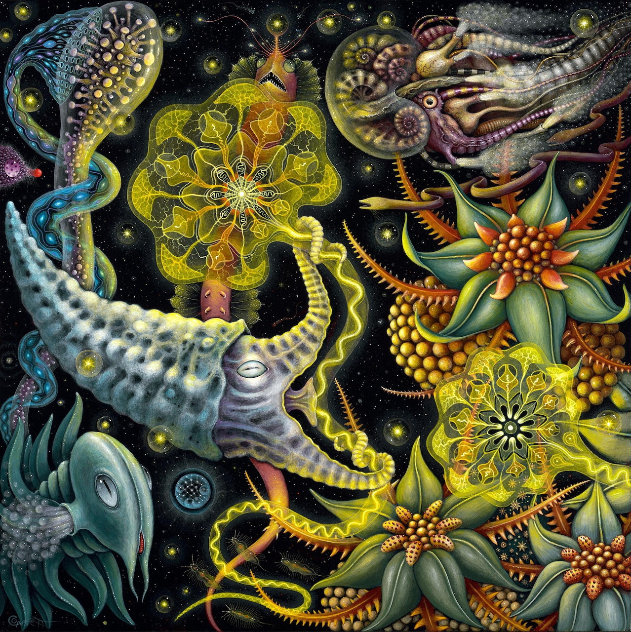 Colorful fantasy sea creatures and geometric flowers on dark starry background