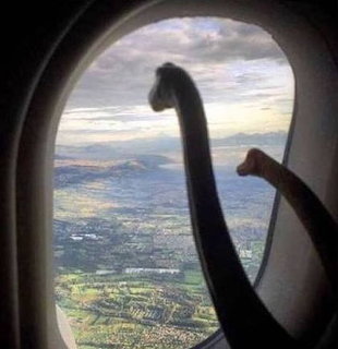 Dinosaur Airplane Window View