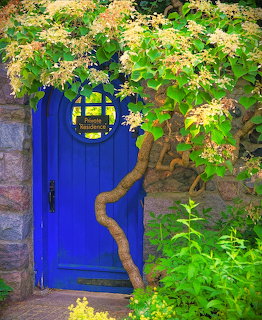 Blue arched door with climbing hydrangea and golden leaves on stone wall