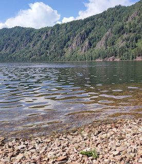 Mountain Lake Shore