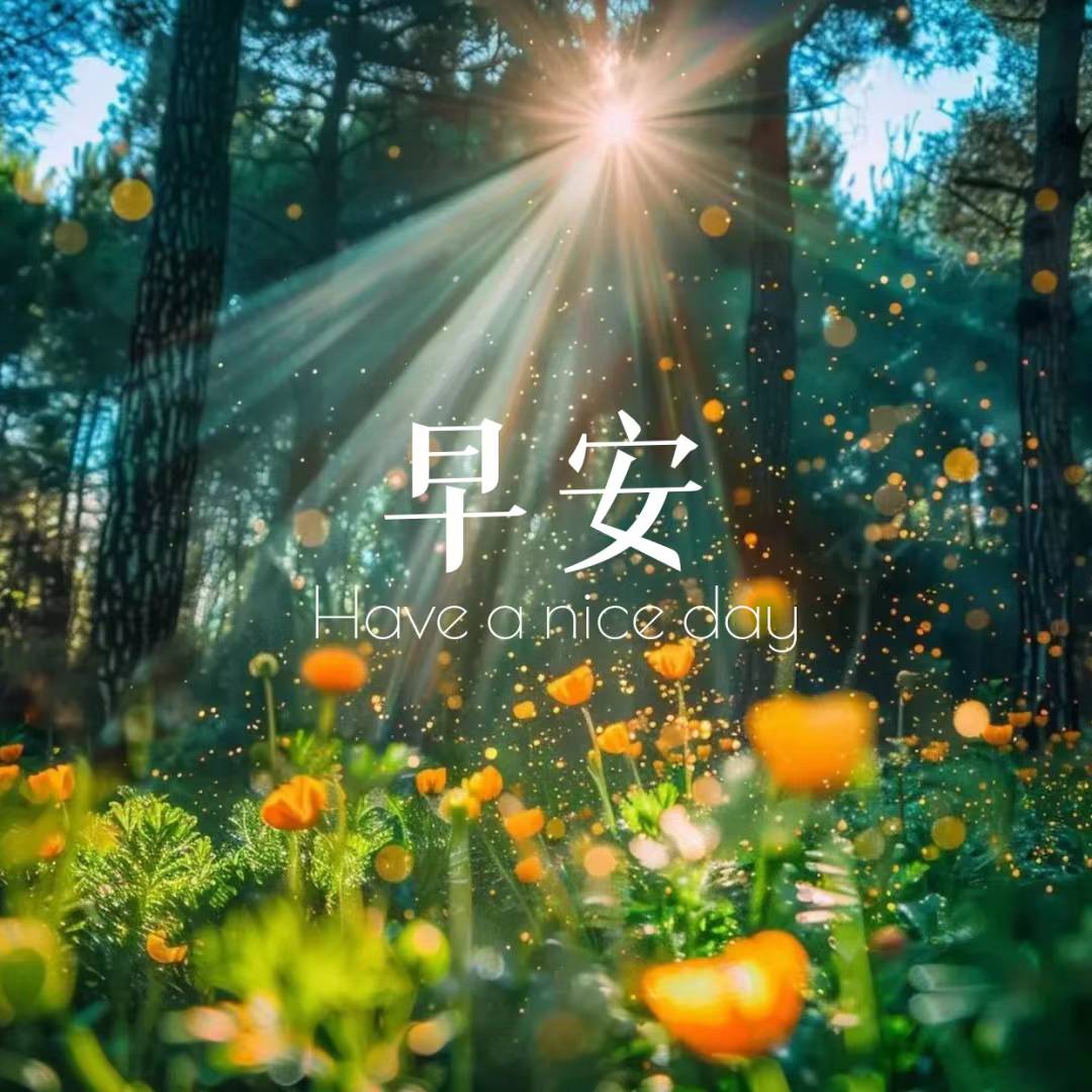 Sunbeams through a forest above orange wildflowers with 早安 and Have a nice day text overlay