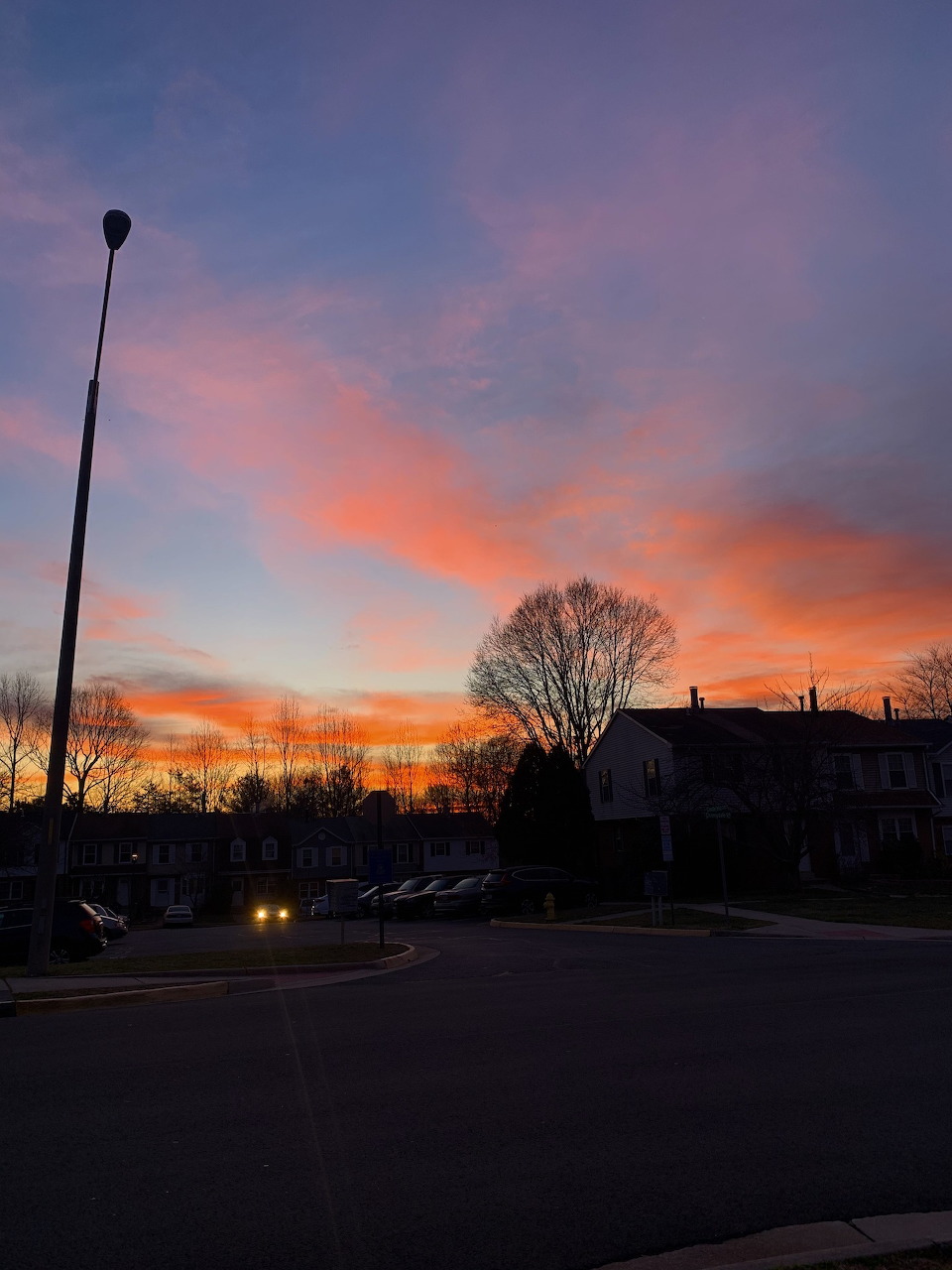 Dramatic orange and pink sunset sky over suburban neighborhood with bare trees and houses silhouetted