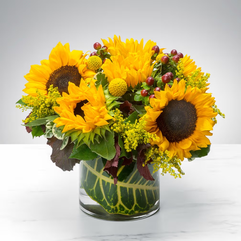 Vibrant yellow sunflowers with dark centers arranged in a clear glass vase with green stems and purple berries