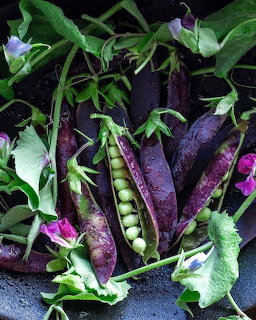 Purple Pea Pods