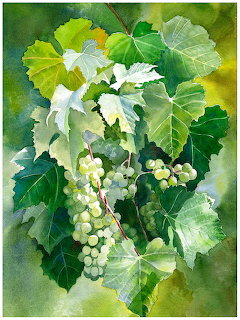 Watercolor painting showing green grapes with vine leaves in soft green and yellow tones