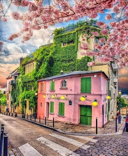 Pink building with green shutters on a Paris street corner surrounded by cherry blossoms and ivy