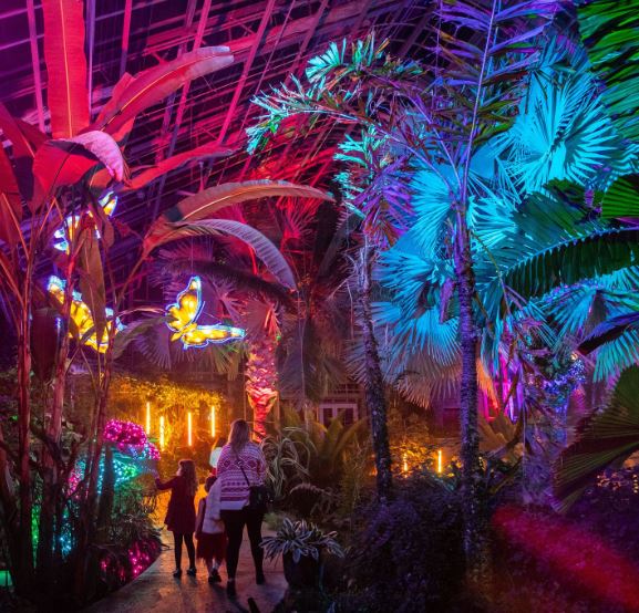 Lauritzen Garden Lights