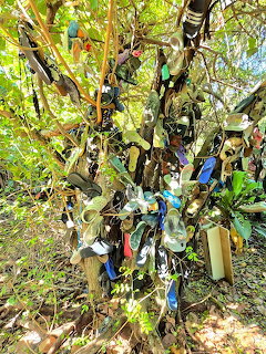 Colorful flip flops and sandals hanging from a tree trunk in a leafy outdoor area