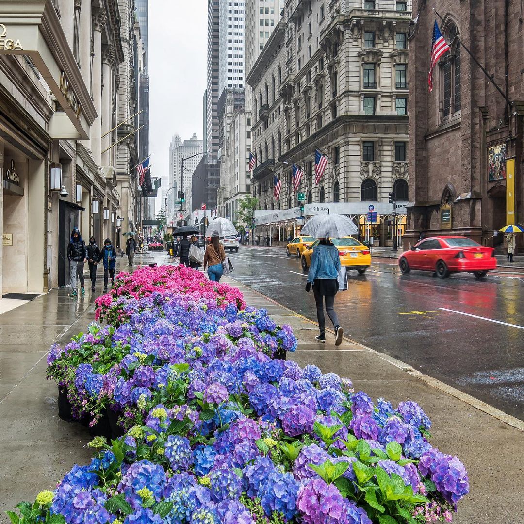 5th Ave