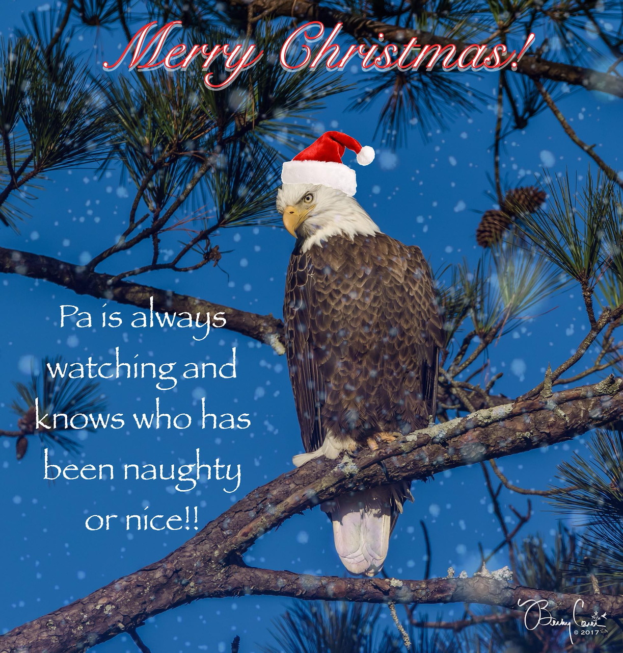 Bald eagle in a Santa hat perched on a branch with snow and Christmas text