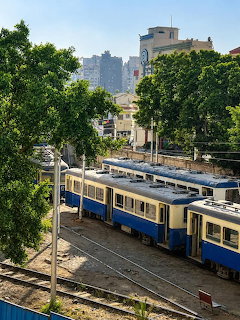 Blue and yellow tram on tracks in Alexandria with trees and cityscape