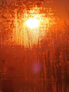 Sunset Through Textured Glass