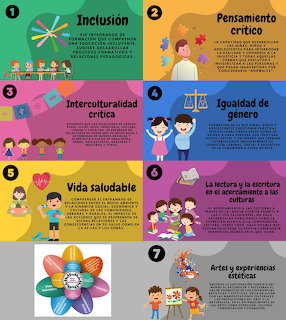 Educational Infographic Collage