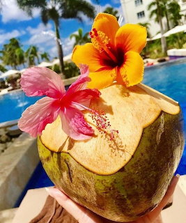 Hand holding a fresh coconut drink decorated with pink and orange hibiscus flowers by a resort pool